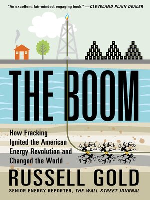 cover image of The Boom